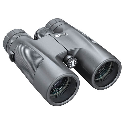 Bushnell POWERVIEW 10X42 ROOF PRISM