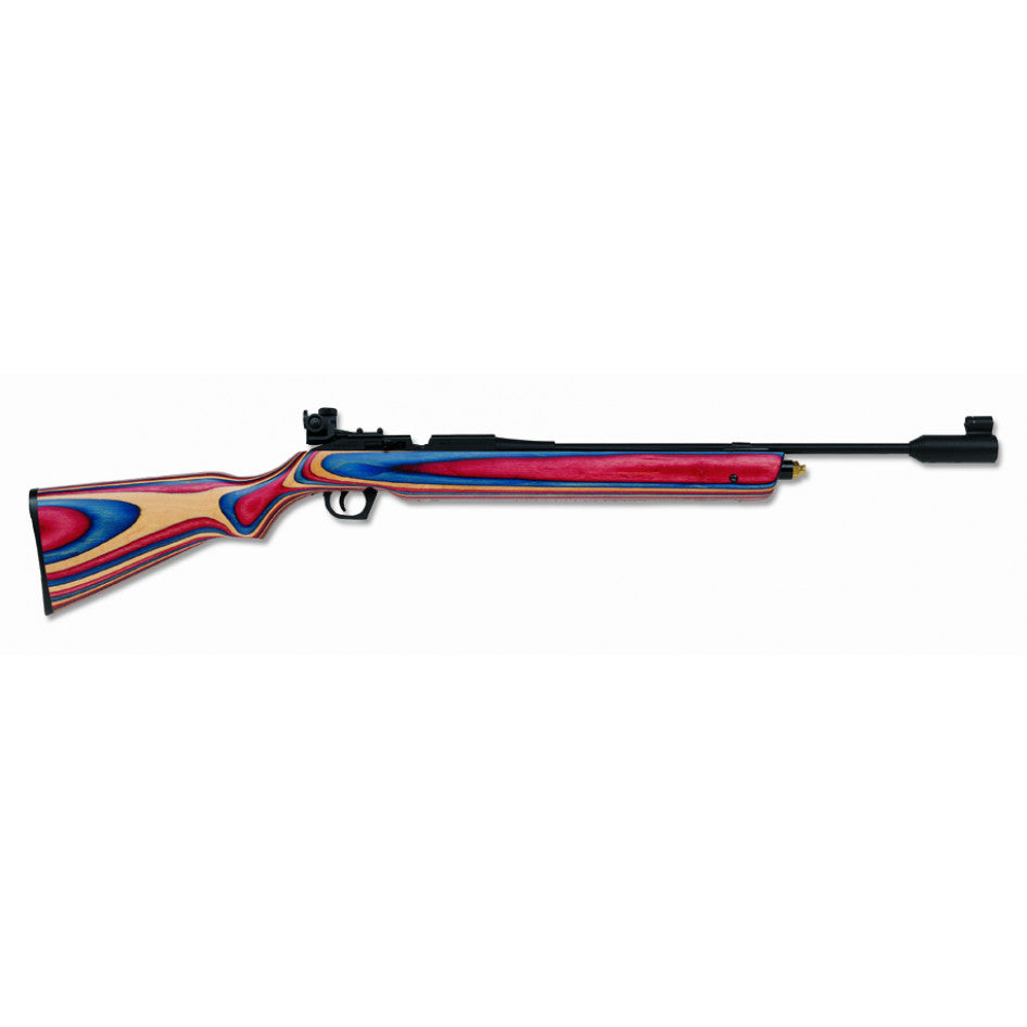 Daisy Air Rifle - AVANTI Medalist Model 888
