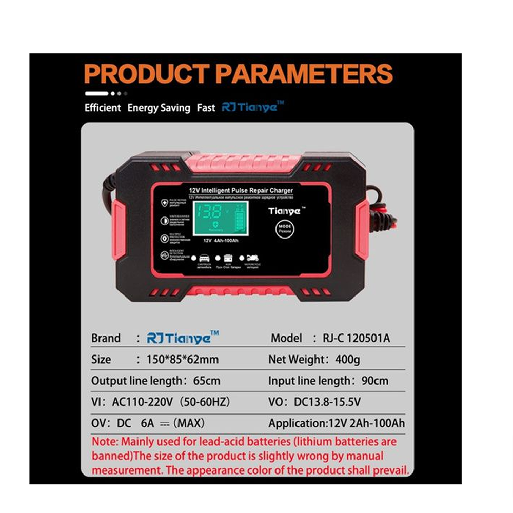 Andowl 12V Intelligent Pulse Repair Charger Q-DP9921
