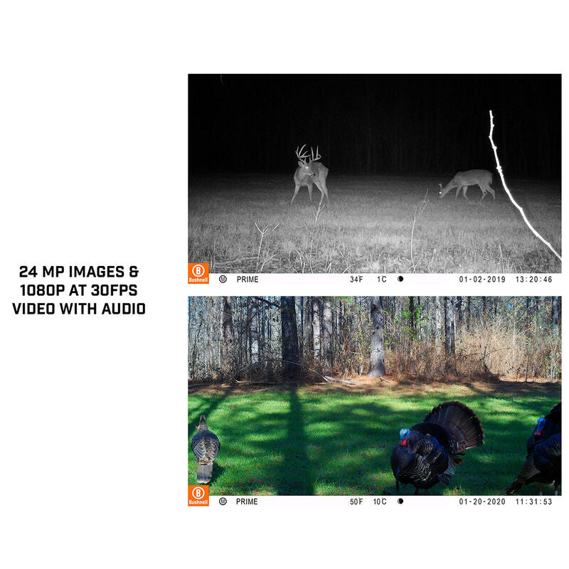 https://bushnellsa.co.za/wp-content/uploads/2020/12/119932C_Prime_pics.jpg
