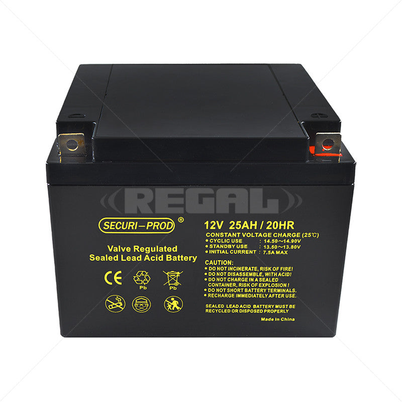 Deep Cycle Battery - 12V 25AH Securi-Prod SLA